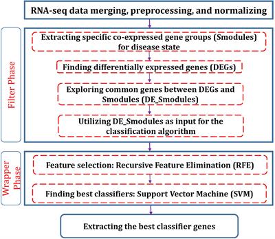 Exploration of blood−derived coding and non-coding RNA diagnostic immunological panels for COVID-19 through a co-expressed-based machine learning procedure